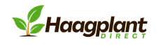 haagplantdirect.nl logo