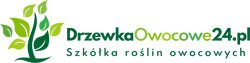 profile-logo