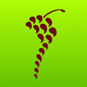 profile-logo