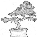 bonsai-winkel.nl logo