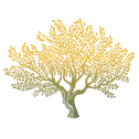 Olea.com.pl logo