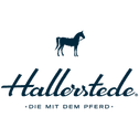https://hallerstede.com/nl-be logo
