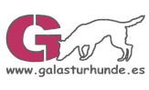 galasturhunde.es logo