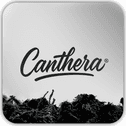 profile-logo