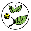 profile-logo