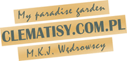 clematisy.pl logo